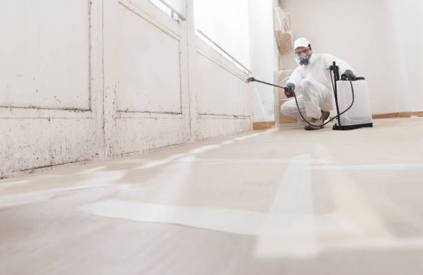 24/7 Emergency Mold Remediation experts in Fort Belvoir, VA